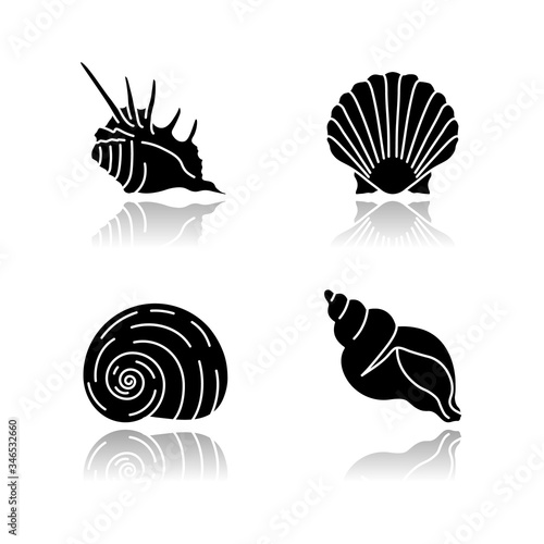 Exotic sea shells drop shadow black glyph icons set. Molluscan cockshells, conchology Sea scallop, moonshell, triton conch and spiked shell isolated vector illustrations on white space