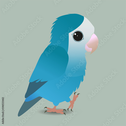 
A vector illustration of a cute blue peach faced lovebird