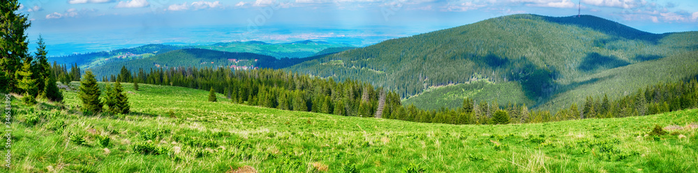 Panoramic view of the Gaujoara glade, Cindrel mountains, Romania, 1600m. Panoramic view of the Gaujoara glade, Cindrel mountains, Romania, 1600m.