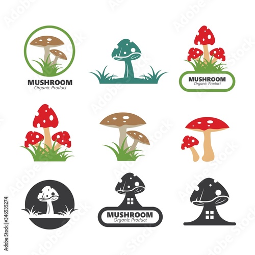 mushroom vector illustration icon design