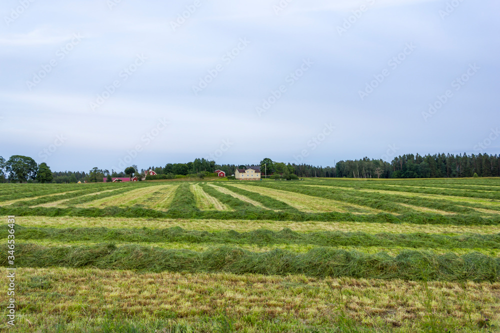 Panorama of farmlands in Forsheda, Småland, Sweden