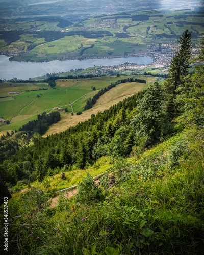 Scenic alpine view in a cloudy summer day with Switzerland blue water lakes in background framed by pine tree close up