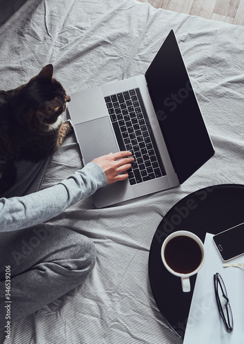 Εκτύπωση καμβά Young woman wearing gray home clothes sits on a bed and types on laptop that lays on a blanket, dark brown cat sits on her lap and looks at the screen