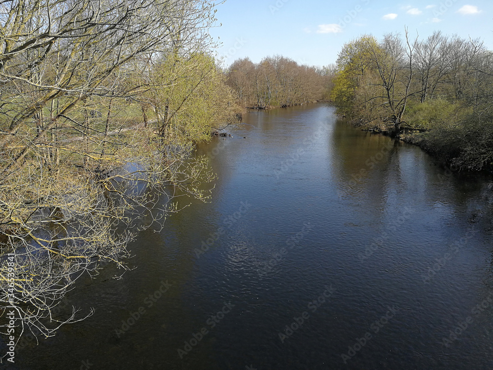 Obraz premium trees and water in spring