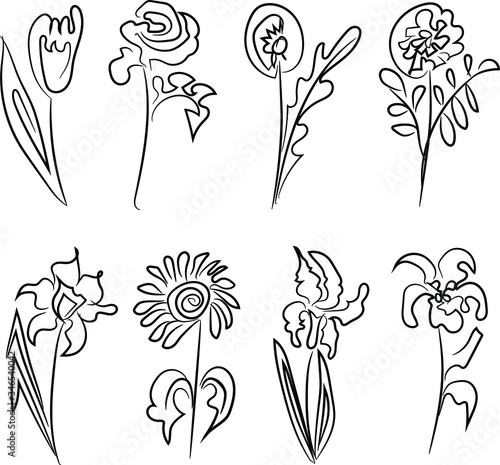 A set of wild flowers in one line. On white background.  Vector illustrations. Hand-drawn with a pen
