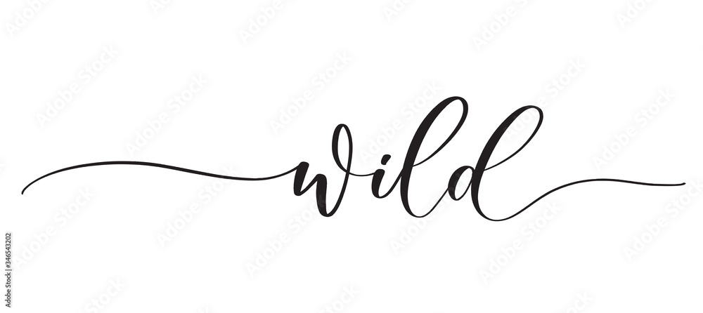 Wild -  typography lettering quote, brush calligraphy banner with  thin line. - obrazy, fototapety, plakaty 