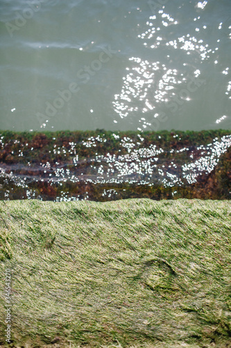 The concrete part of the pier covered with green algae washed by sea water © Michael