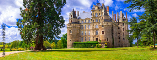 Fotografie High resolution 11k panorama of Chateau de Brissac, Loire Valley France