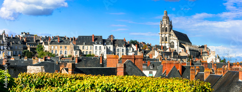 Landmarks and travel in France. Loire valley,  medieval town Blois and famous royal castle photo