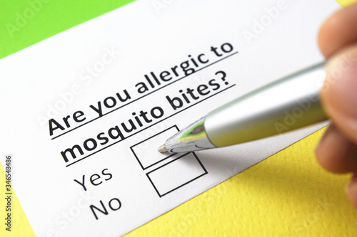 Are you allergic to mosquito bites? yes or no? photo