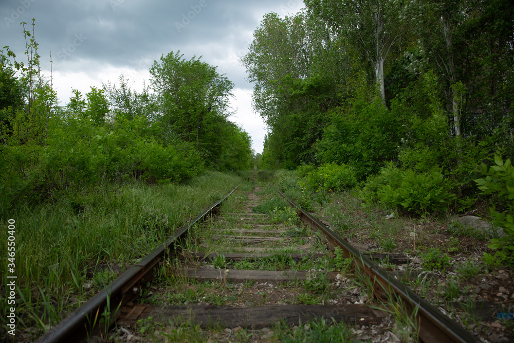 Fototapeta premium railway in the forest