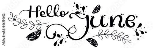 Hello June. JUNE month vector with ornaments and leaves. Decoration floral. Illustration month June
