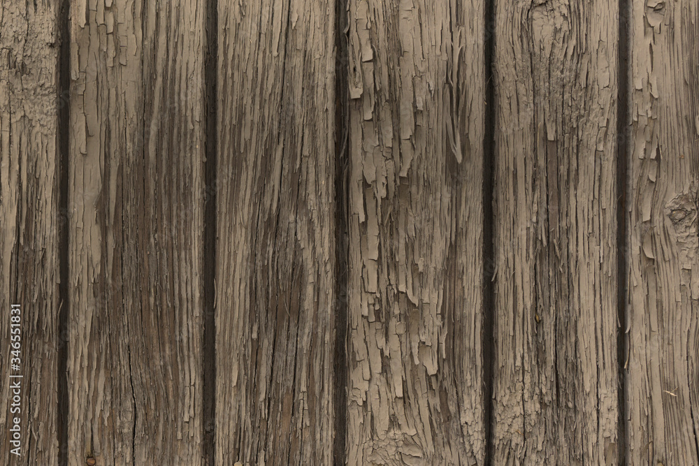 texture of light wooden planks . natural wooden background