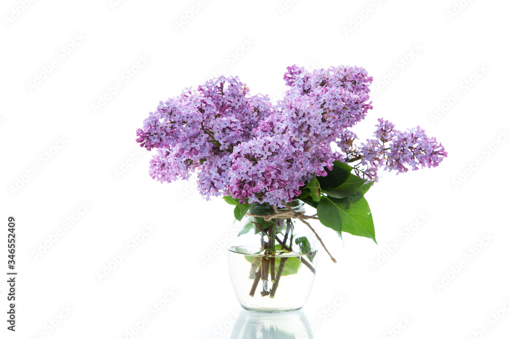 bouquet of beautiful spring flowers of lilac on white background bouquet of beautiful spring flowers of lilac on white background