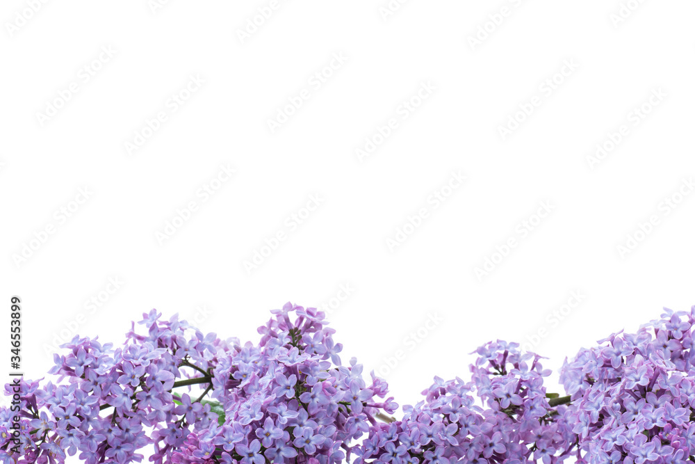 bouquet of beautiful spring flowers of lilac on white background bouquet of beautiful spring flowers of lilac on white background