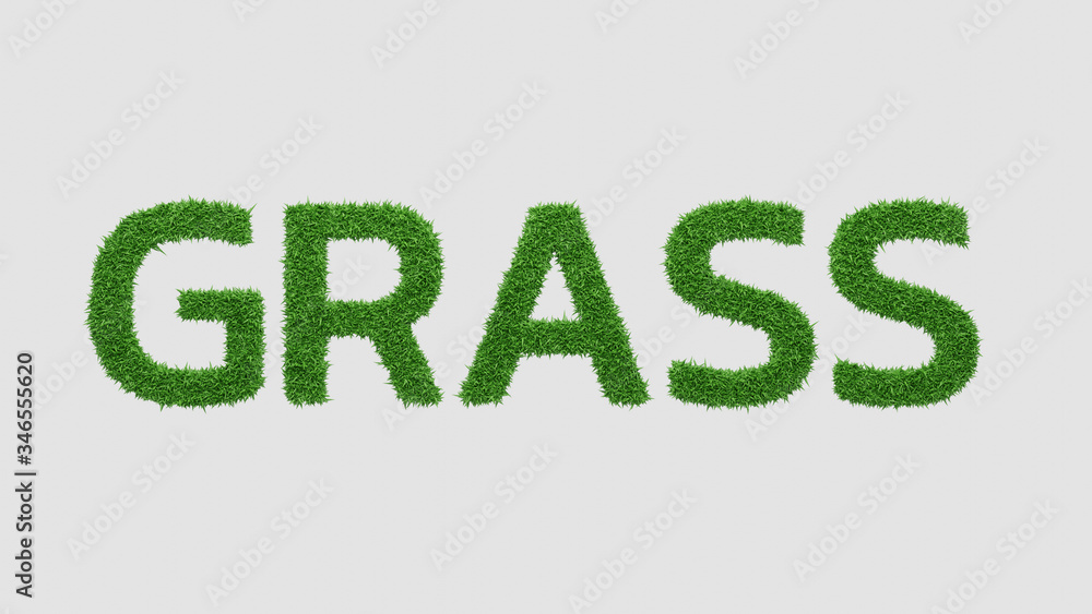 Grass. Word created with grass texture on white background. 3D render Grass. Word created with grass texture on white background. 3D render