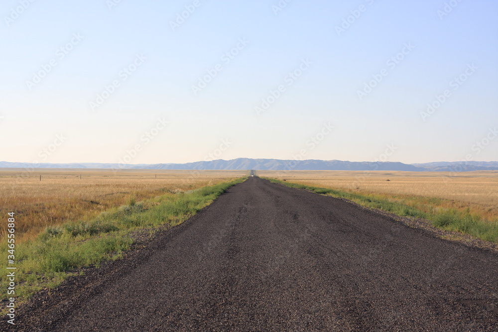 Naklejka premium Empty dusty road in the steppe