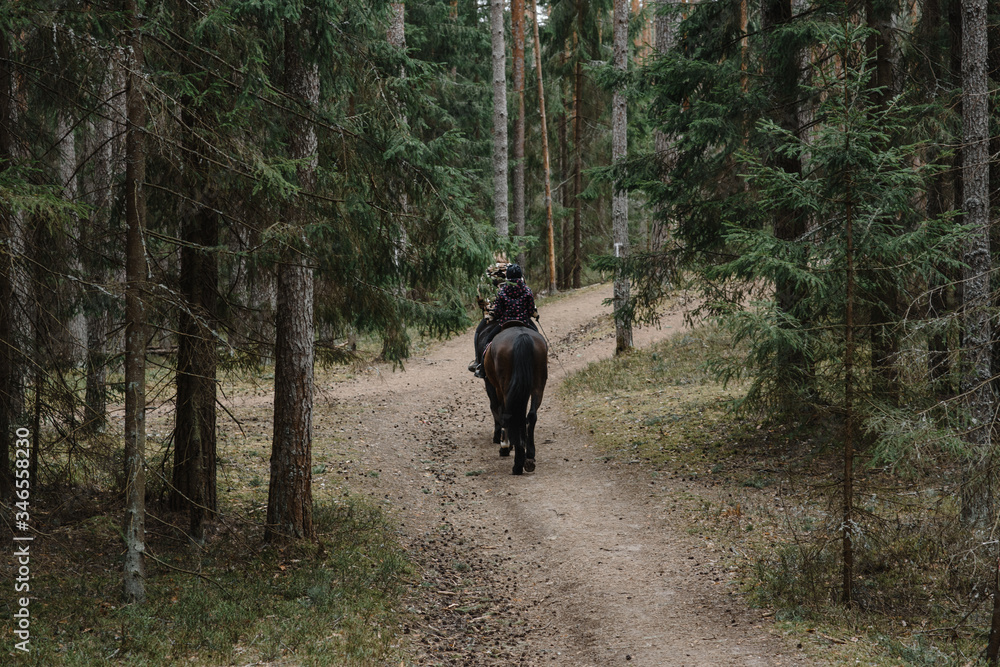 2 people ride a black horse in the forest 2 people ride a black horse in the forest
