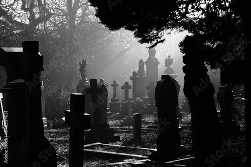 Fotografie Cemetery