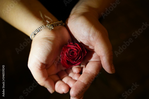 Rose in hand and bracelet in the dark