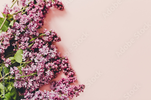 Spring flowers. Frame of twigs of blooming lilac on a pink background. top view. place for text