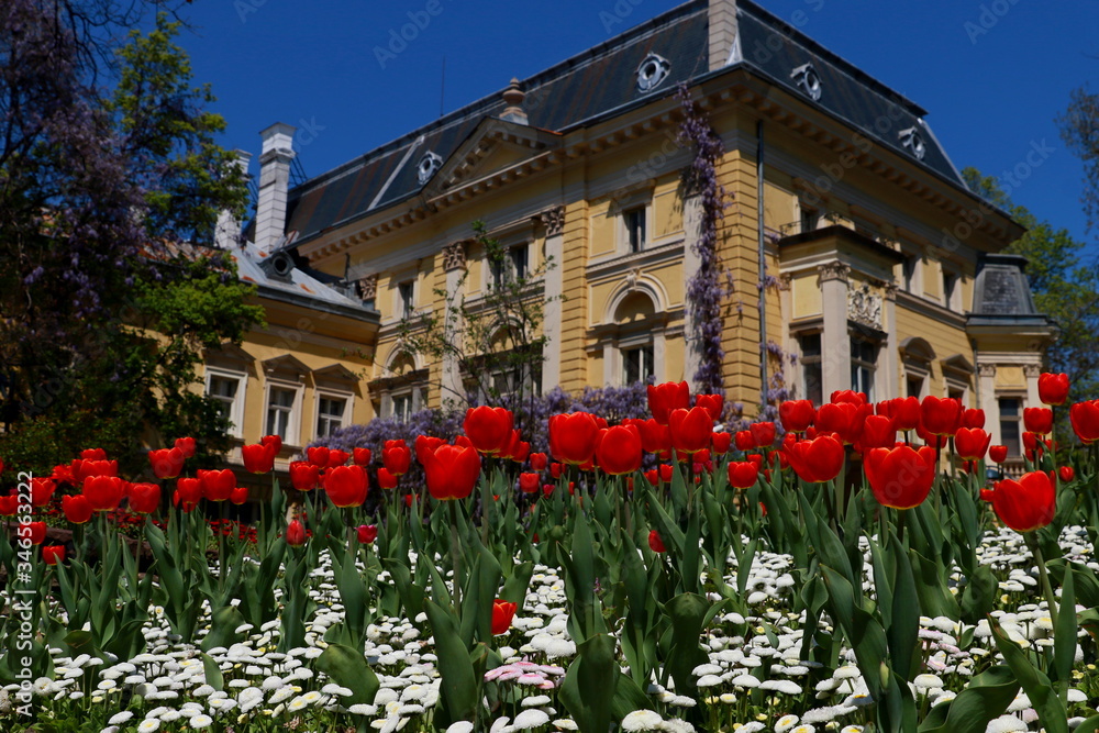 Landscape with yellow baroque house surrounded by green trees and a field of pink red flowers in the middle of Sofia, Bulgaria Landscape with yellow baroque house surrounded by green trees and a field of pink red flowers in the middle of Sofia, Bulgaria
