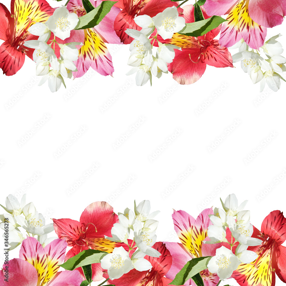 Beautiful floral pattern of Alstroemeria and Jasmine. Isolated