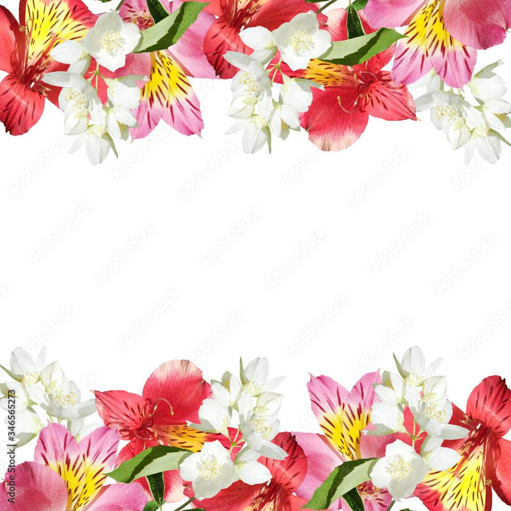 Beautiful floral pattern of Alstroemeria and Jasmine. Isolated Beautiful floral pattern of Alstroemeria and Jasmine. Isolated
