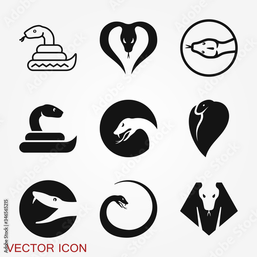 Snake vector icon, animal symbol isolated on background.