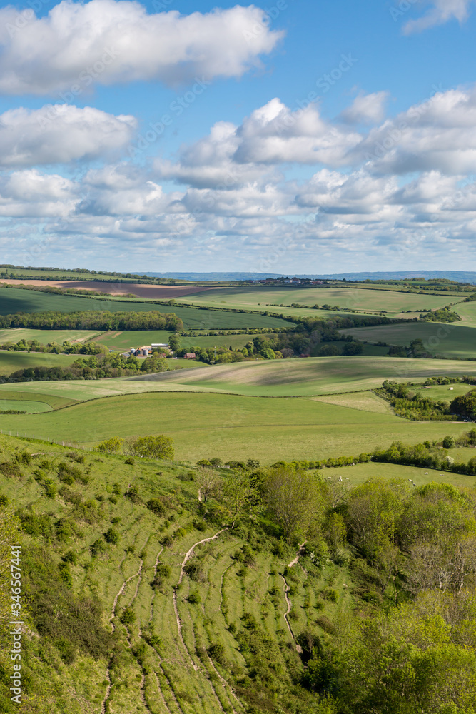 Looking out over a green South Downs landscape from Kingston Ridge