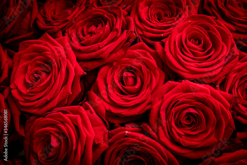 Obraz na płótnie Detail view of Red roses w salonie