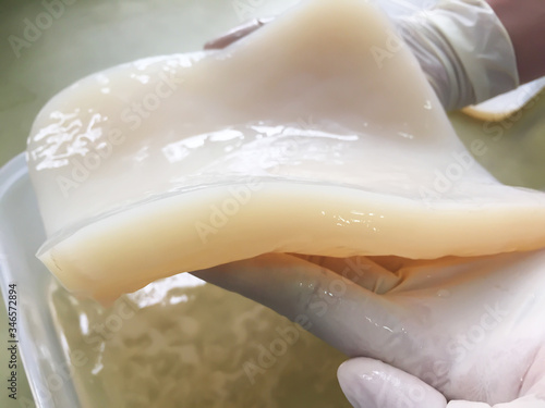 Bacterial cellulose produced by acetic acid bacteria from coconut water