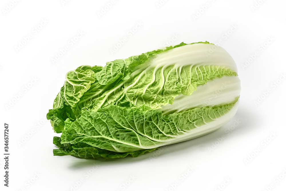 chinese cabbage on white background chinese cabbage on white background