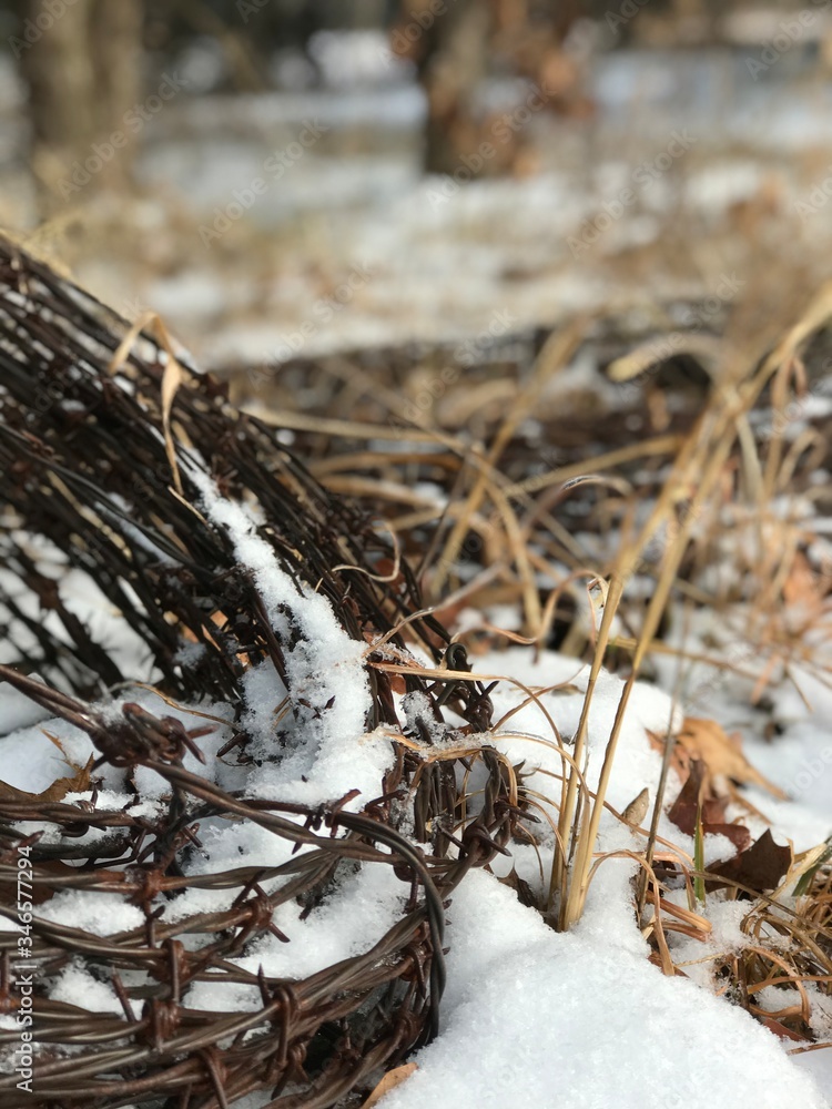 snow on the grass snow on the grass