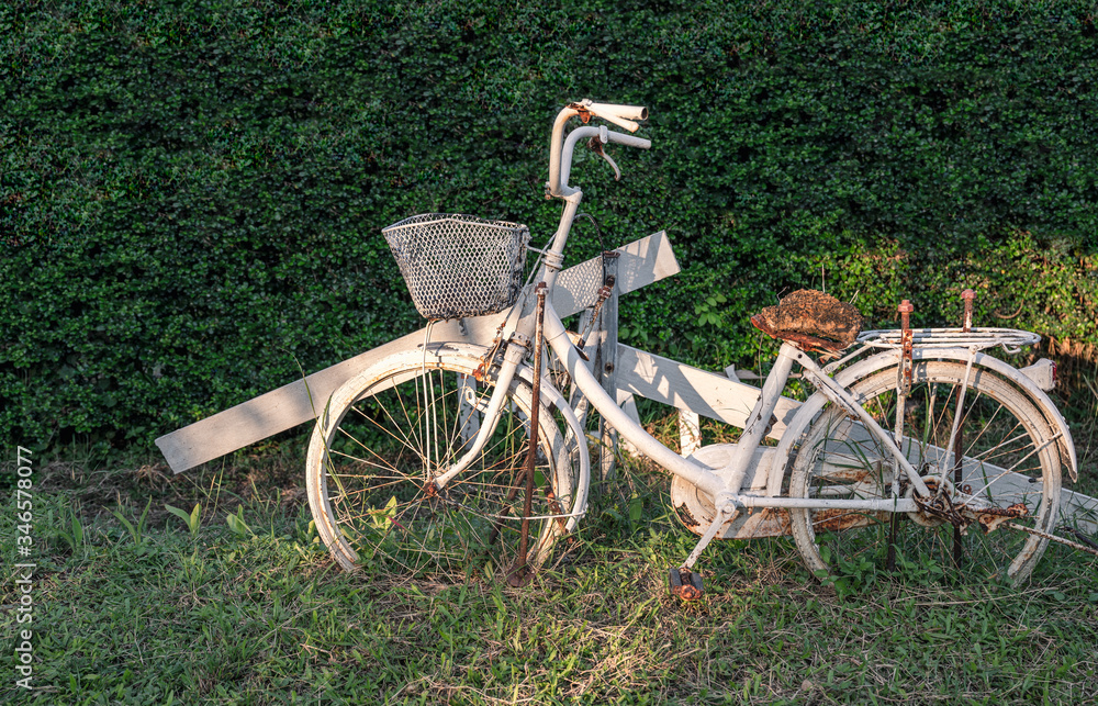 Antique white bike collection on green background