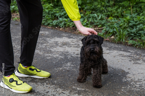
man stroking a dog in the park