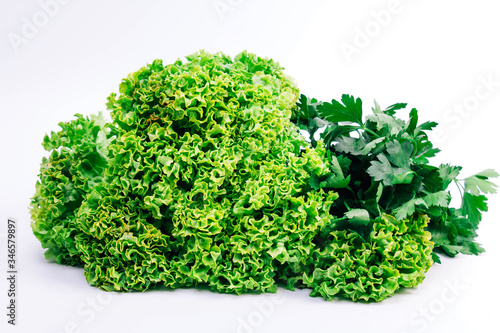 many lettuce and parsley on a white background