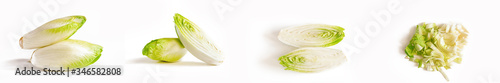 Collection of chicory isolated on a white background