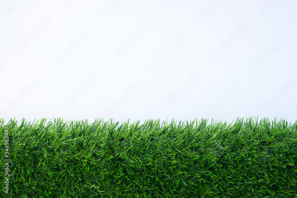 Green Leaves of Grass Blades  Horizontal   Blades Isolated on White Background