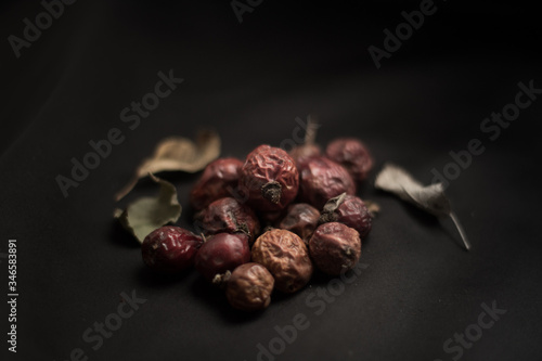 rosehip on a black background