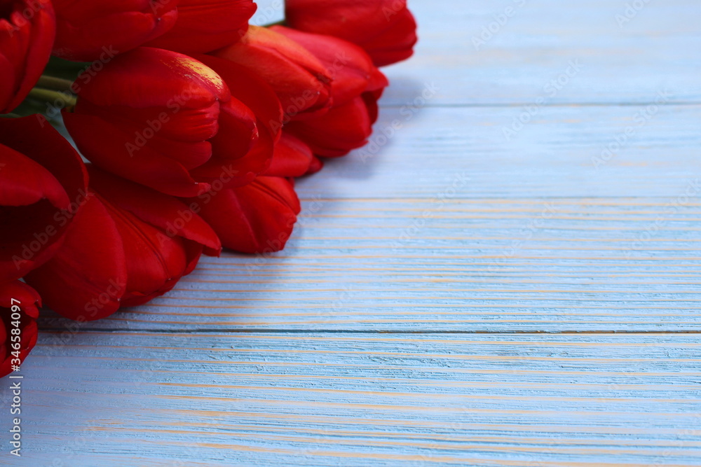 Bouquet of red tulips on a blue wooden background Bouquet of red tulips on a blue wooden background
