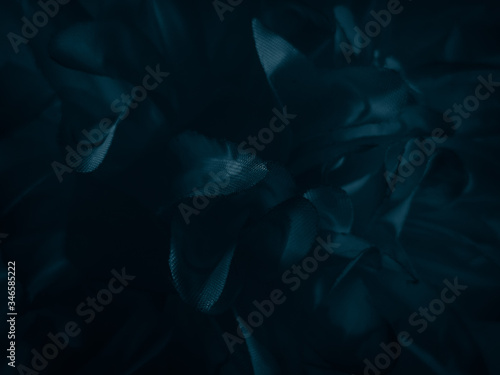 Beautiful abstract color black and blue flowers on white background, white flower frame, blue leaves texture, purple background, blue leaves and blue flowers on purple background