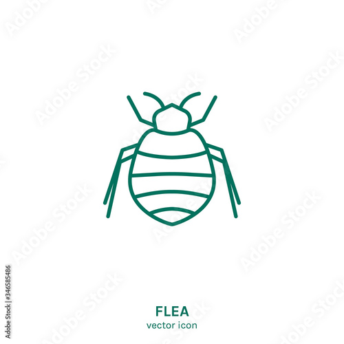 Insect vector icon