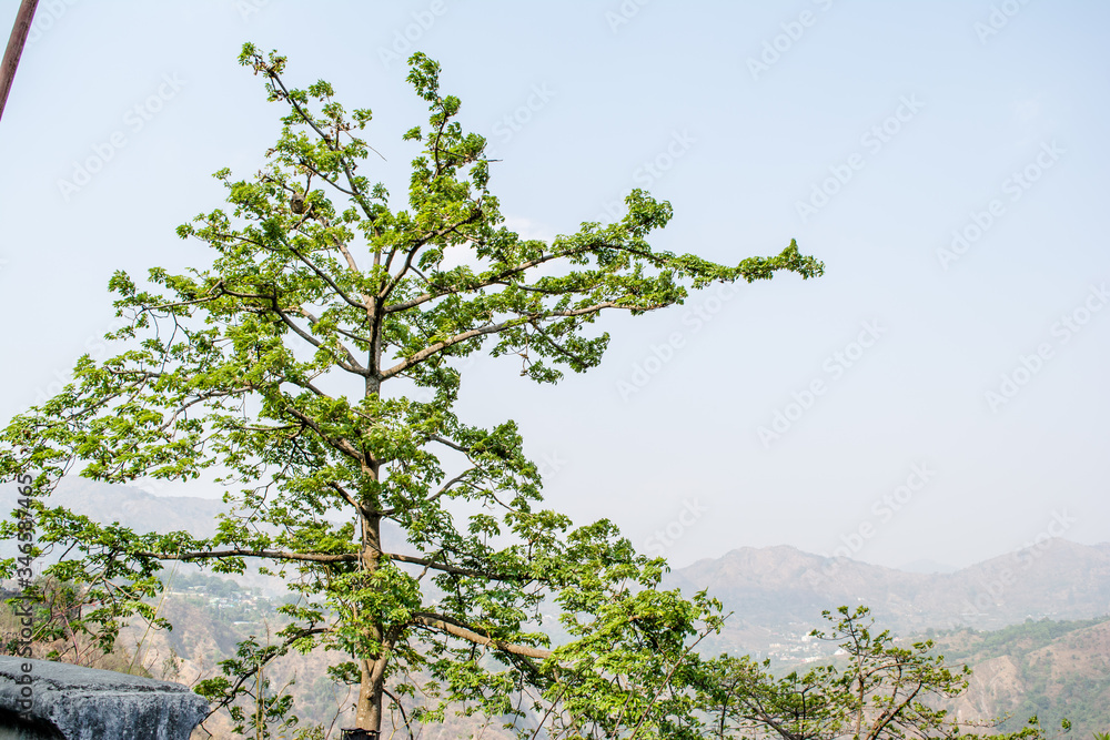 Beautiful Bhimtal Lake is a lake in the town of Bhimtal, in the Indian state of Uttarakhand
Beautiful Bhimtal Lake is a lake in the town of Bhimtal, in the Indian state of Uttarakhand
