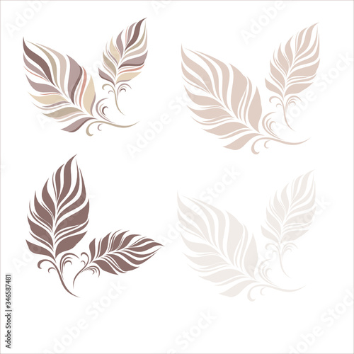 craft feathers for writing or decoration  ethnic  indian