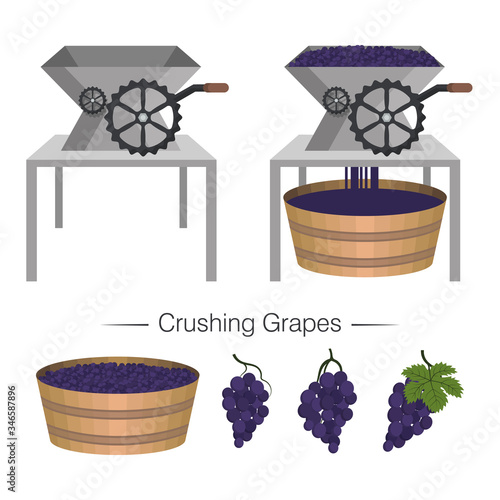 Industrial grape crusher is in operation and empty. Wooden tank full of berries