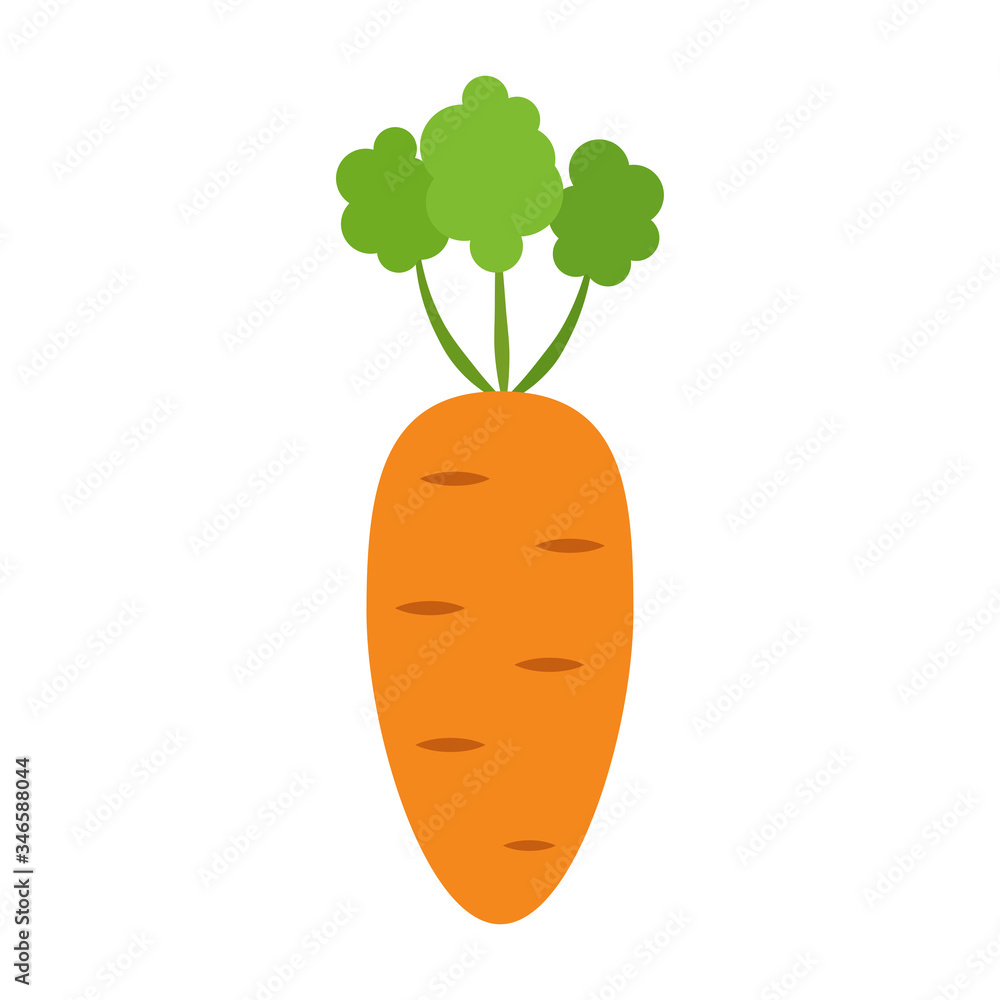 Carrot icon, fresh vegetable. Carrot in a flat style, vector illustration. Carrot icon, fresh vegetable. Carrot in a flat style, vector illustration.