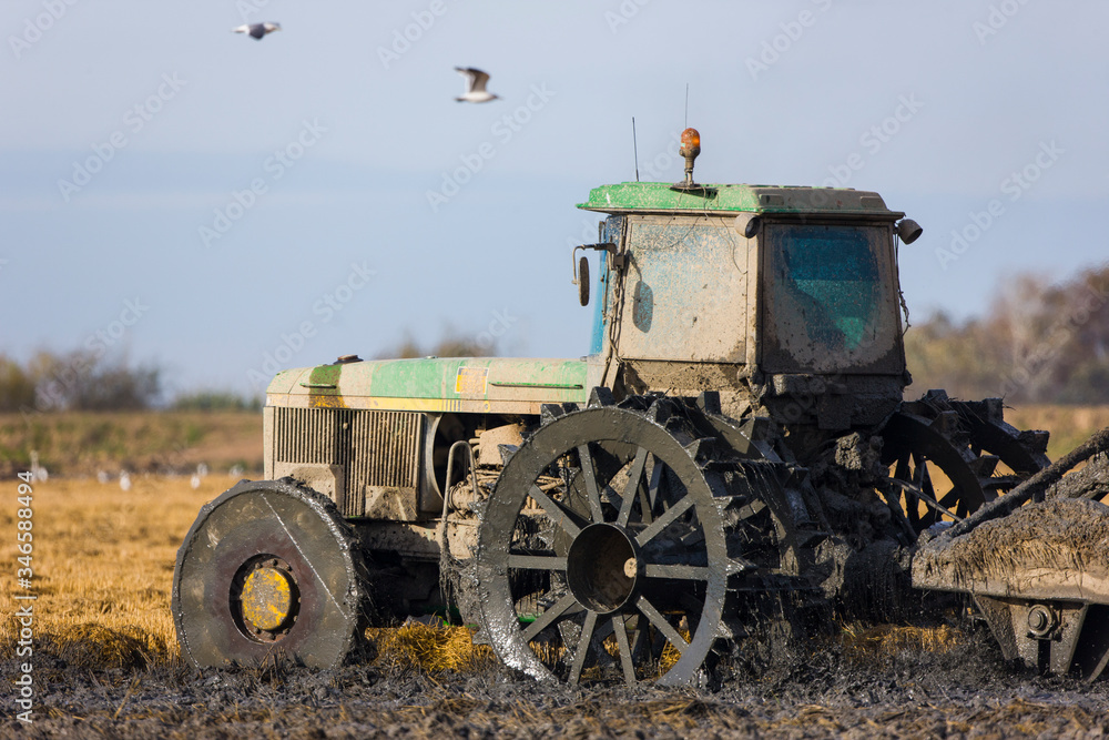 Preparing rice field, Parque Natural de Doñana National Park, Sevilla province, Andalucia, Spain Preparing rice field, Parque Natural de Doñana National Park, Sevilla province, Andalucia, Spain