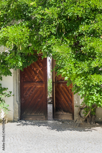 door of ancient castle with climbing plant