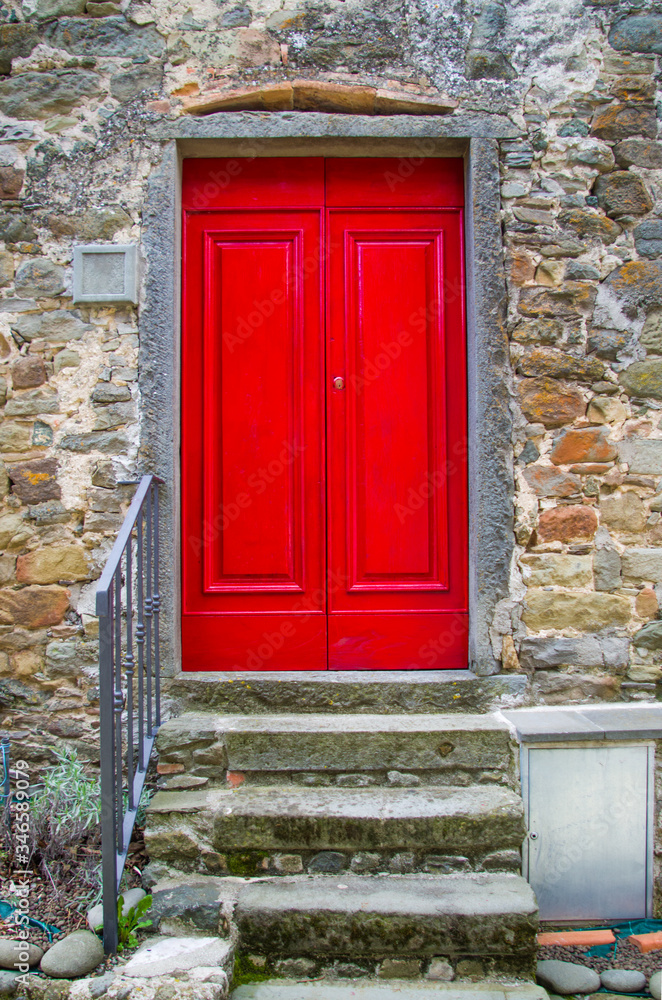 Fototapeta premium decorated and ancient door of historic building